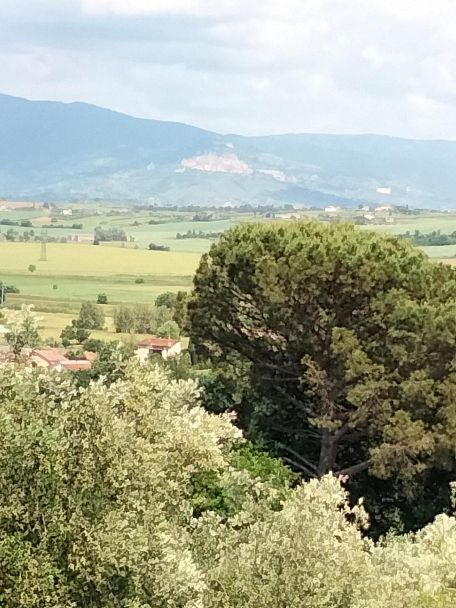 Villa Spaccasole Su Cortona Foiano Della Chiana Εξωτερικό φωτογραφία